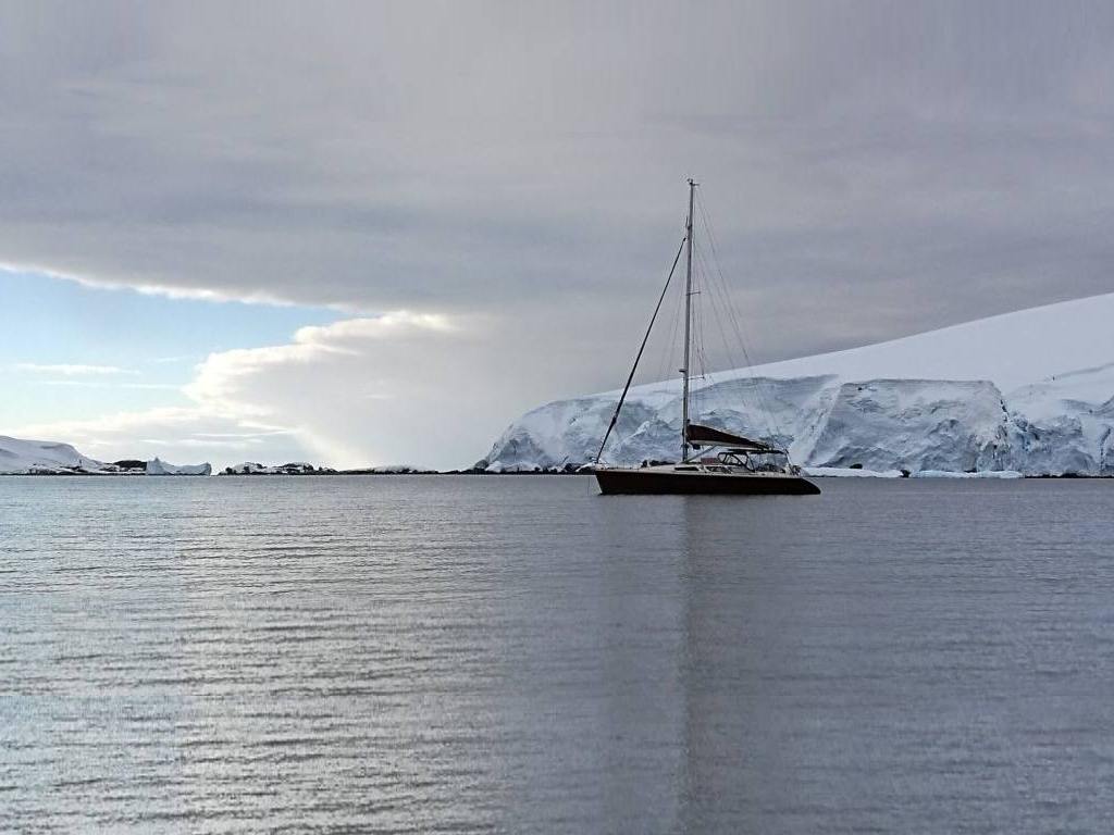 Basic Instinct in Antarctica